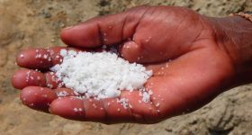 Salt Shortage: ఉప్పు కోసం.. పొరుగు దేశం ముప్పు తిప్పలు.. చుట్టూ సముద్రం, చిటికెడు సాల్ట్ లేదు!