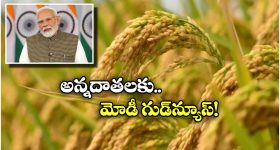 MSP For Kharif Crops: వరి మద్దతు ధర పెంచిన కేంద్రం, క్వింటాల్ కు ఎంత పెరిగిందంటే?