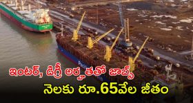 Jobs: దీన్‌దయాల్ పోర్ట్ అథారిటీలో ఉద్యోగాలు.. ఇంటర్, డిగ్రీ ఉంటే చాలు.. జీతమైతే రూ.65,000