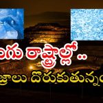 Diamond Mining: మన స్వర్ణాంధ్రలో భారీగా వజ్రాలు.. దొరికితే కోటీశ్వరులే.. ఎక్కడో తెల్సా?