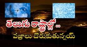 National Highways: ఏపీకి భారీ గిఫ్ట్.. జస్ట్ గంటన్నరలో నెల్లూరుకు.. ఇదేం రోడ్డు బాబోయ్..