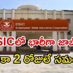 ESIC Recruitment: ESICలో 558 ఉద్యోగాలు.. ఇంకా 2 రోజులే సమయం, జీతం రూ.78,800