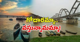 RCB Fan: RCB టీంను గంగలో కలిపాడు.. పీకల్లోతు కష్టాల్లో పంజాబ్