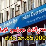 IOB Recruitment: డిగ్రీ అర్హతతో భారీగా ఉద్యోగాలు.. జీతం రూ.85,920.. దరఖాస్తుకు కొంత సమయమే మిత్రమా!