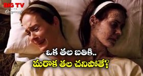 Hair Growth Tips: తరచుగా జుట్టు జిడ్డుగా మారుతోందా ? పరిష్కారం ఇదిగో !