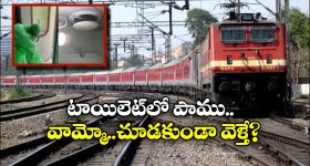 Jagadekaveerudu Athilokasundadi: ఇంతకి ఆ రింగ్ ఏమైంది.. చేప ఏమైంది..? చిరుకు చరణ్ క్వశ్చన్..