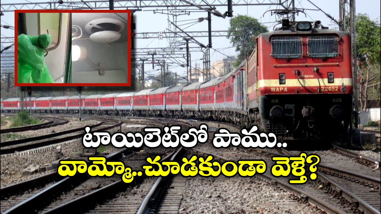 Snake in Train: రాజధాని ఎక్స్ ప్రెస్ లో పాము కలకలం.. నెట్టింట వీడియో వైరల్!