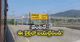Fruit Salad: ఉదయం పూట ఖాళీ కడుపుతో ఫ్రూట్ సలాడ్ తింటే.. ?