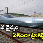 Bullet Train vs Snake: వామ్మో పాము.. ఏకంగా బుల్లెట్ ట్రైన్నే ఆపేసింది కదయ్యా!