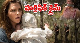 OTT Movie : అడవిలో క్యాంపింగ్ కు వెళ్తున్నారా? ఈ మూవీ చూశాక పొరపాటున కూడా ఆ సాహసం చేయరు