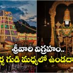 Tirumala:  తిరుమల శ్రీవారి గురించి 10 ఆసక్తికర విషయాలు, తెలిస్తే ఆశ్చర్యపోతారు!