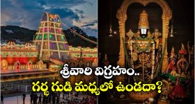 Tirumala:  తిరుమల శ్రీవారి గురించి 10 ఆసక్తికర విషయాలు, తెలిస్తే ఆశ్చర్యపోతారు!