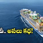 Cruise Ship: వేల టన్నుల బరువు ఉండే క్రూయిజ్ షిప్ సముద్రంలో మునగదు, ఎందుకో తెలుసా?