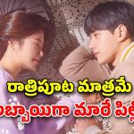 OTT Movie : అమ్మాయి కోసం బాయ్ ఫ్రెండ్ అవతారమెత్తే పిల్లి… మస్ట్ వాచ్ క్రేజీ కొరియన్ డ్రామా