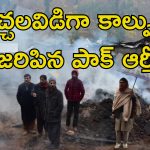 Pakistan Army LoC Firing: భారత పౌరులను చంపిన పాక్ ఆర్మీ.. జమ్మూలో 8 మంది అమాయకులు మృతి