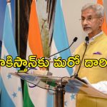 Jaishanker Sindhu Water: పాక్ ఆ పని చేసేంతవరకు సింధూ జలాల ఒప్ఫందంపై చర్చలు ఉండవు.. తేల్చి చెప్పిన జై శంకర్