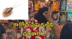 Pet Cockroach Video: యువకుడి తలపై పెద్ద కాక్రోచ్.. తొలగించడానికి వెళ్లిన యువతికి షాక్.. అది సామాన్యమైనది కాదు