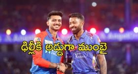 Pet Cockroach Video: యువకుడి తలపై పెద్ద కాక్రోచ్.. తొలగించడానికి వెళ్లిన యువతికి షాక్.. అది సామాన్యమైనది కాదు