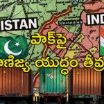 India Halts Pakistan Exports: పాక్ ఎగుమతులపై దెబ్బకొట్టిన భారత్.. పేరుకుపోయిన కంటెయినర్లు