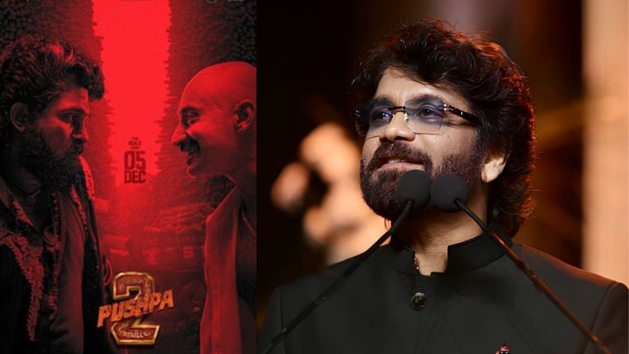 Akkineni Nagarjuna : ‘పుష్ప’ మూవీపై నాగార్జున షాకింగ్ కామెంట్స్.. సౌత్ కంటే నార్త్‌లోనే అంటూ..