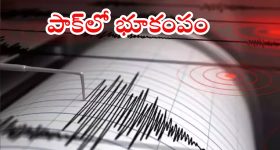 Pakistan Earthquake: పాకిస్థాన్‌లో భూకంపం.. రిక్టర్ స్కేలుపై 4.6 తీవ్రత