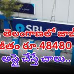 SBI Jobs: SBIలో భారీగా జాబ్స్.. రెండు తెలుగు రాష్ట్రాల్లో కూడా ఖాళీలు.. డోంట్ మిస్