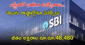 SBI Recruitment: ఎస్బీఐలో భారీగా ఉద్యోగాలు.. తెలుగు రాష్ట్రాల్లోనూ ఖాళీలు.. జీతం రూ.48,480