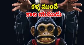 RCB: దరిద్రం అంటే RCBదే.. 8 మంది ప్లేయర్లు దూరం.. ఇక కప్పు కష్టమే ?