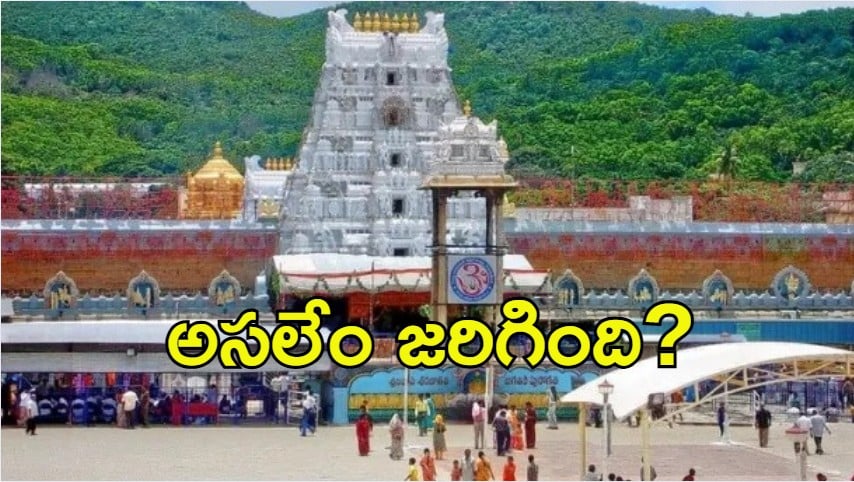 Tirumala News: తిరుమలలో విచిత్రం.. ఒక్కసారిగా తగ్గిపోయిన రద్దీ, ఈ రోజు పరిస్థితి ఏంటి?