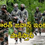 Pakistan Ranger In India: భారత సరిహద్దుల్లో పాక్ సైనికుడు.. ఇండియన్ జవాన్‌పై వేటు