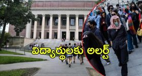 America: అమెరికా హెచ్చరికలు.. అలా చేస్తే వీసా క్యాన్సిల్, భయంలో స్టూడెంట్స్