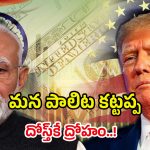 India vs USA: టక్కరి ట్రంప్.. దోస్త్ కాదు దుష్మన్..! భారత్‌కు కంపెనీలు రాకుండా ఆపడం వెనుక కారణం ఇదేనా?
