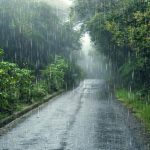 Monsoon Alert: ఉరుములు, మెరుపులతో భారీ వర్షం..ఈ జిల్లాలు తస్మాత్ జాగ్రత్త