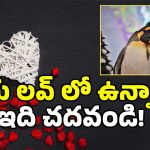 Real Love Story: గులకరాయితో ప్రేమ.. ఆపై రొమాన్స్.. ఇదేం లవ్ బాబోయ్.. ఇదో వెరైటీ!