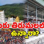 Tirumala Que: తిరుమలలో పెరిగిన భక్తుల రద్దీ.. రేపు, ఎల్లుండి క్యూలైన్స్ ఫుల్?