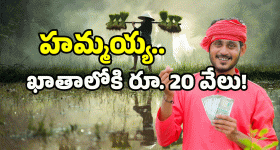 Andhra Pradesh News: అన్నదాత స్కీమ్ పై బిగ్ అప్ డేట్.. రూ. 20 వేలకు సిద్ధం కండి