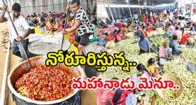 TDP Mahanadu 2025: గోంగూర చికెన్, ఫూల్ మఖానా.. మహానాడు మెనూ అదుర్స్.. 5 లక్షల మందికి పసందైన విందు..