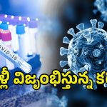 New Corona Cases AP: మూడో కేసు.. ఏపీలో కరోనా కలకలం
