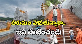 Tirumala - Alipiri: అలిపిరి మెట్ల మార్గంలో మీరు వెళుతున్నారా? టీటీడీ కొత్త హెచ్చరికలేంటో తెలుసుకోండి!