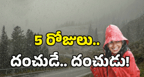 HURL Recruitment: హెచ్‌యూఆర్ఎల్ నుంచి భారీ నోటిఫికేషన్.. ఈ జాబ్ వస్తే రూ.లక్షల్లో జీతాలు, కాకపోతే రేపే లాస్ట్ డేట్