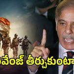 PM Shehbaz Sharif: రివేంజ్ తీర్చుకుంటాం.. భారత్‌ మెరుపుదాడులపై స్పందించిన పాక్‌ ప్రధాని