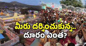 Tirumala Darshan: 10 అడుగుల దూరం నుంచి శ్రీవారి దర్శనభాగ్యం.. ఎవరికో తెలుసా?