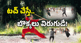 Warangal Tour: వరంగల్ టూర్.. ఒక్క రోజులో ఈ ప్రదేశాలు చూసి రావొచ్చు !