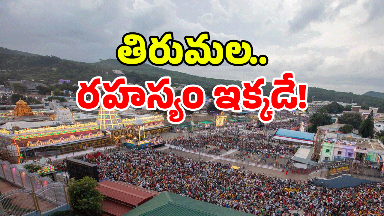 Tirumala Update: తిరుమలలో ఇక్కడంతా ఫ్రీ.. ఫ్రీ.. ఈ ప్లేస్ మిస్ కావద్దు!