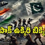 India vs Pakistan War: పాక్‌ను బూటు కాలితో తన్నిన బలుచిస్తాన్.. ఆ ప్రాంతాలు స్వాధీనం