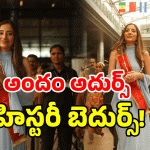 Amelia Baptista Antonio: అందరి చూపు ఈమెపైనే.. ఈ అందాల రాణి ఒక లాయర్..