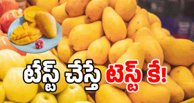 Mangoes: మామిడికి డేంజర్ బెల్.. వీళ్లు మనుషులేనా? మరీ ఇలా చేస్తారా?