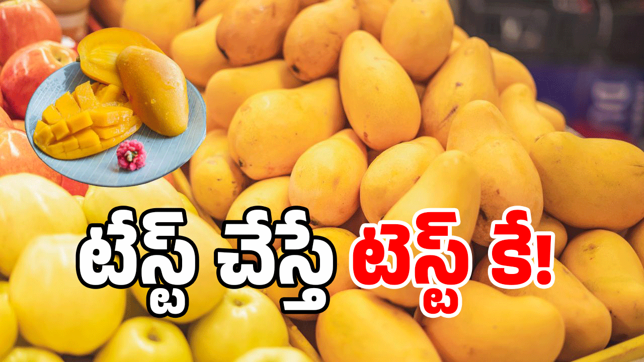 Mangoes: మామిడికి డేంజర్ బెల్.. వీళ్లు మనుషులేనా? మరీ ఇలా చేస్తారా?