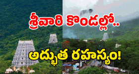 OTT Movie : తండ్రి కోరిక తెలిసి షాక్ అయ్యే కొడుకు... ఆ వయసులో గెస్ట్ హౌస్ కి వెళ్లి