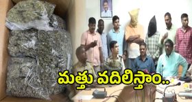 Ganja Seized: గంజాయిపై పోలీసుల ఉక్కుపాదం.. మొత్తం ఎన్ని కిలోలు దొరికిందంటే..